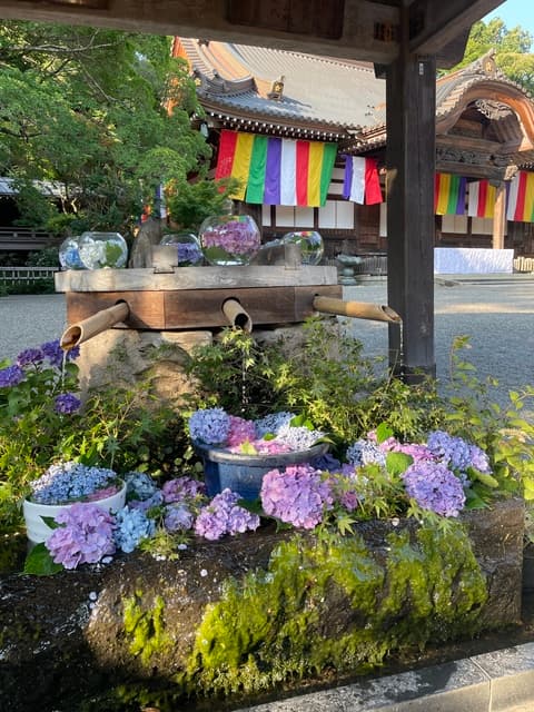 夜の神代植物公園 ☀️【9月27日】宵月の花散歩🌙【十五夜】夕涼み【ライトアップ】夜散歩🌙